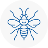 Horbury Hornet Nest Removals