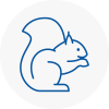 Horbury Rodent Removals